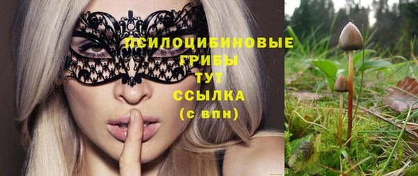 спайс Абинск