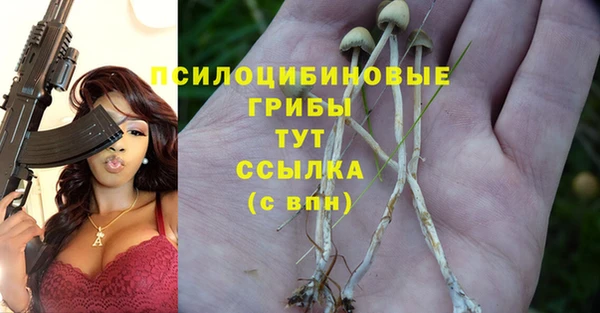 а пвп мука Абаза