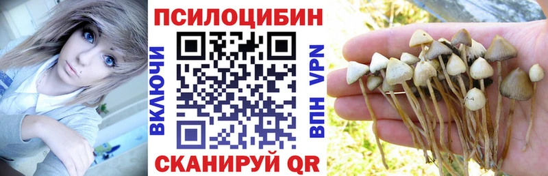 blacksprut как зайти  Таштагол  Галлюциногенные грибы ЛСД 